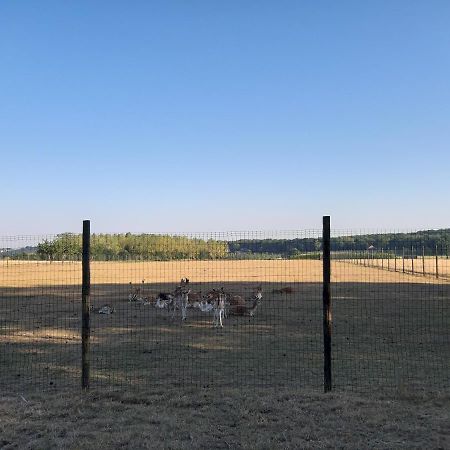 Lemen Huis Houwaart Tielt Dış mekan fotoğraf